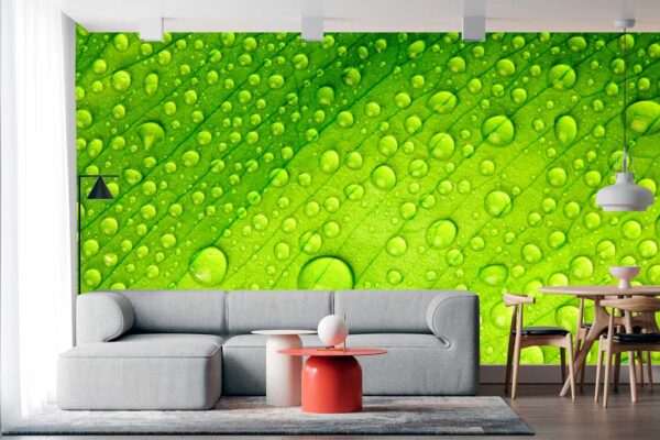 imagen de Fotomural gotas agua sobre hoja en decoracionesenvinilo.com