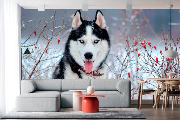 imagen de Fotomural husky en nieve en decoracionesenvinilo.com