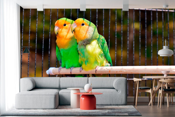 imagen de Fotomural pareja periquitos en decoracionesenvinilo.com