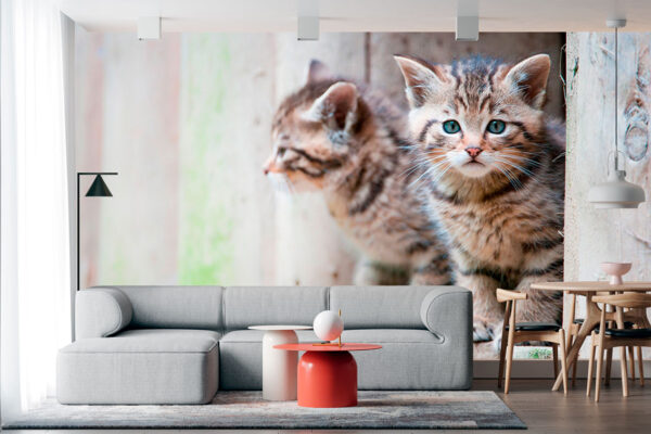 imagen de Fotomural hermanos cachorros gatos en decoracionesenvinilo.com
