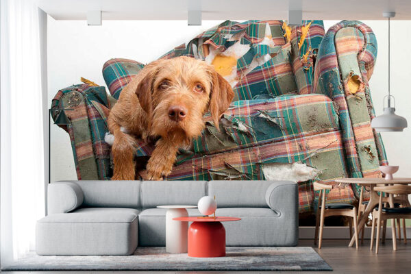 imagen de Fotomural perro en sofá en decoracionesenvinilo.com