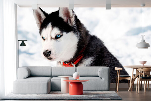 imagen de Fotomural husky nieve en decoracionesenvinilo.com