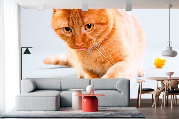 imagen de Fotomural gato naranja en decoracionesenvinilo.com
