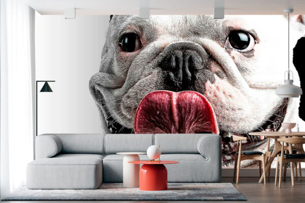 imagen de Fotomural perro bulldog en decoracionesenvinilo.com