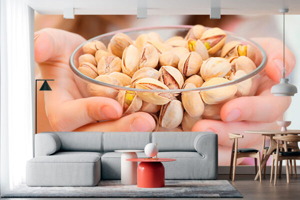 imagen de Fotomural niña con pistachos en decoracionesenvinilo.com