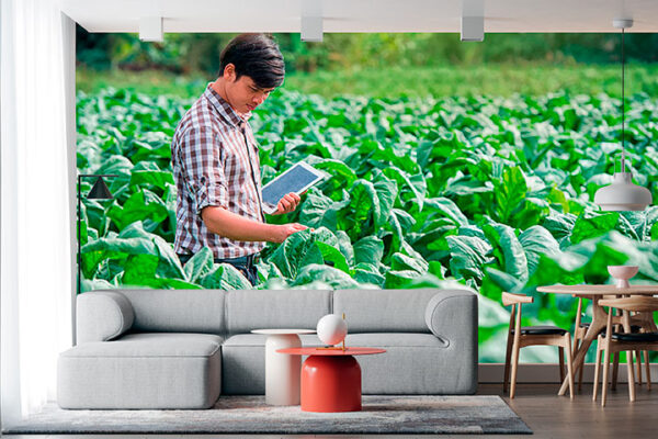 imagen de Fotomural agricultor revisando cultivo en decoracionesenvinilo.com