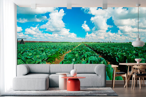 imagen de Fotomural huerto de verdura en decoracionesenvinilo.com