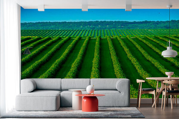 imagen de Fotomural campo de hierba verde en decoracionesenvinilo.com