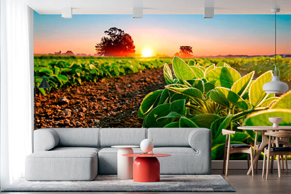 imagen de Fotomural huerta atardecer en decoracionesenvinilo.com