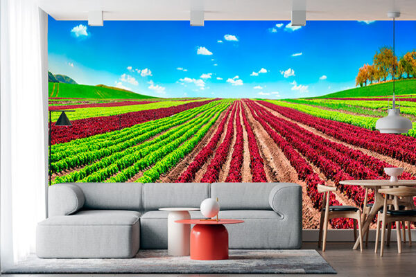 imagen de Fotomural cultivo de colores en decoracionesenvinilo.com