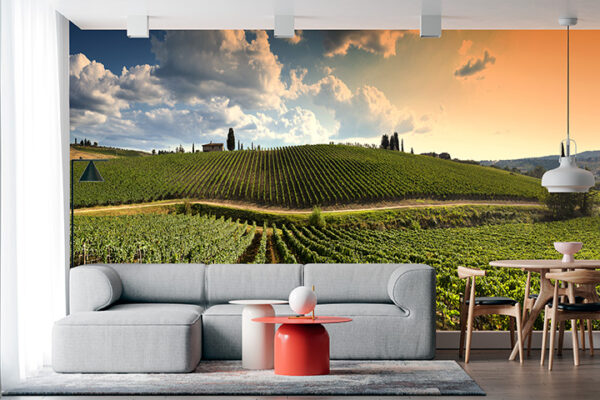 imagen de Fotomural campo cultivo atardecer en decoracionesenvinilo.com
