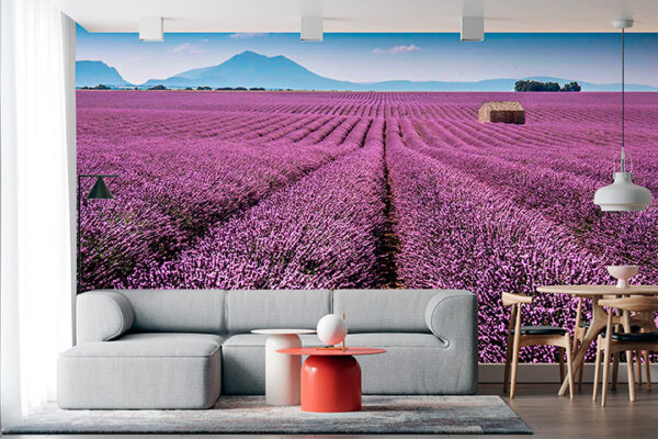 imagen de Fotomural campo de lavanda en decoracionesenvinilo.com
