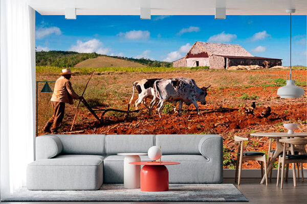 imagen de Fotomural labrando campo tradicional en decoracionesenvinilo.com