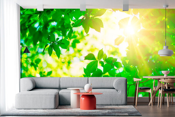imagen de Fotomural luz hojas de arbol en decoracionesenvinilo.com
