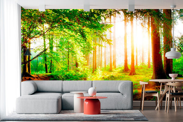 imagen de Fotomural bosque con luz en decoracionesenvinilo.com