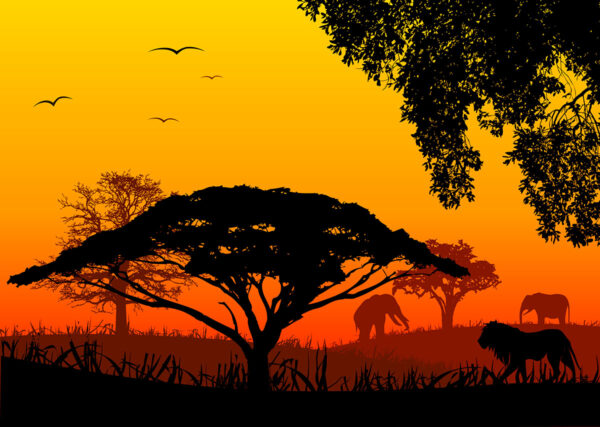 imagen de Fotomural sabana atardecer en decoracionesenvinilo.com