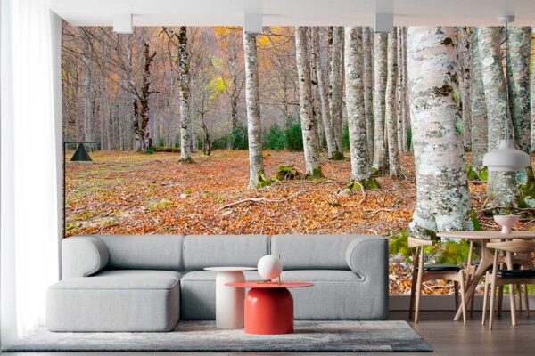 imagen de Fotomural hojas suelo en el bosque en decoracionesenvinilo.com
