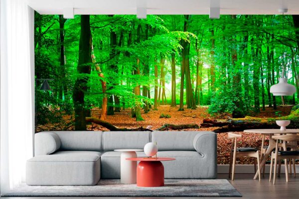 imagen de Fotomural bosque inmenso en decoracionesenvinilo.com