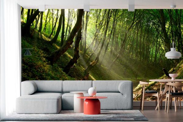 imagen de Fotomural bosque antiguo en decoracionesenvinilo.com