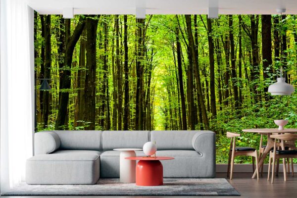 imagen de Fotomural bosque arboles altos en decoracionesenvinilo.com
