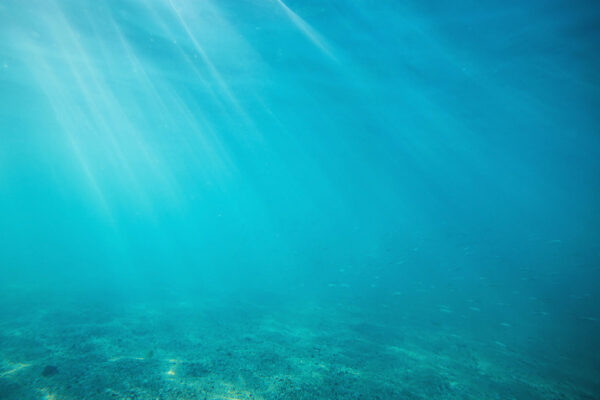 imagen de Fotomural bajo el mar en decoracionesenvinilo.com