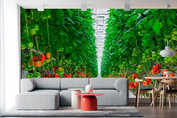imagen de Fotomural cultivo tomates en decoracionesenvinilo.com