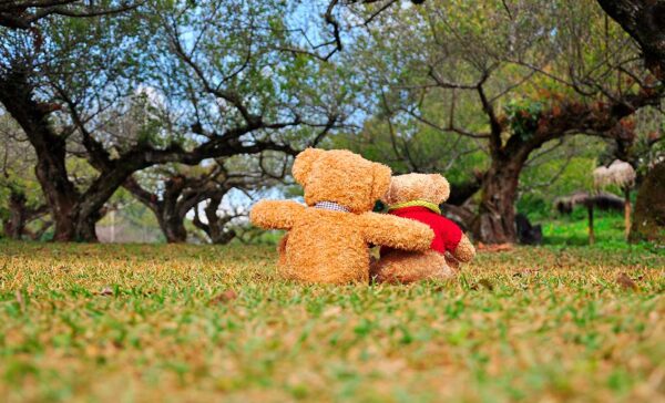 imagen de Fotomural osos de peluche en decoracionesenvinilo.com