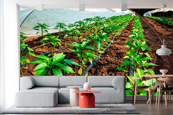 imagen de Fotomural huerta en decoracionesenvinilo.com
