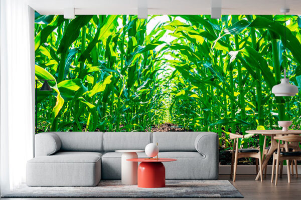 imagen de Fotomural campo de maíz en decoracionesenvinilo.com