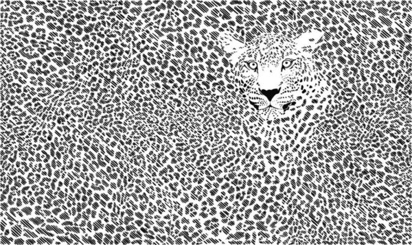 imagen de Fotomural leopardo camuflado en decoracionesenvinilo.com