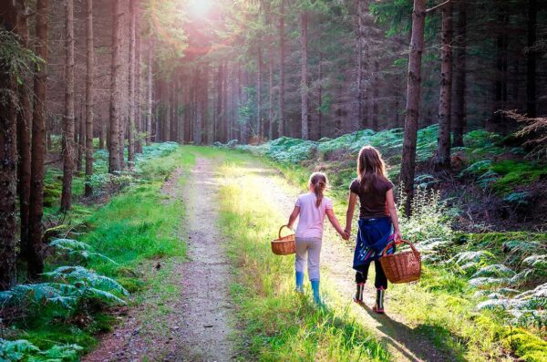 imagen de Fotomural niñas en bosque setas con cestas en decoracionesenvinilo.com