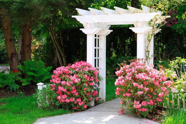 imagen de Fotomural jardín con rosas en decoracionesenvinilo.com