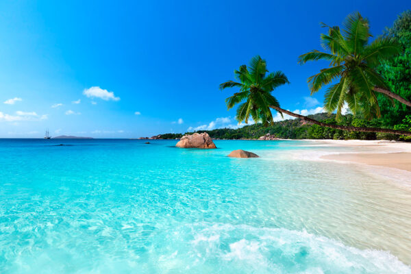 imagen de Fotomural palmeras en playa en decoracionesenvinilo.com