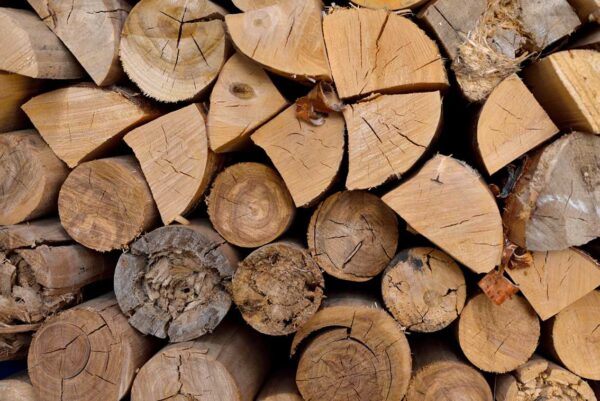 imagen de Fotomural troncos de madera en decoracionesenvinilo.com